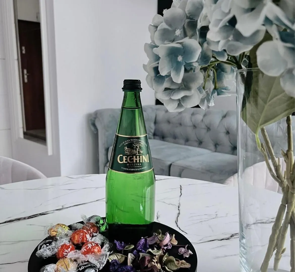 Apartament Z Tarasem Apartment Gdansk